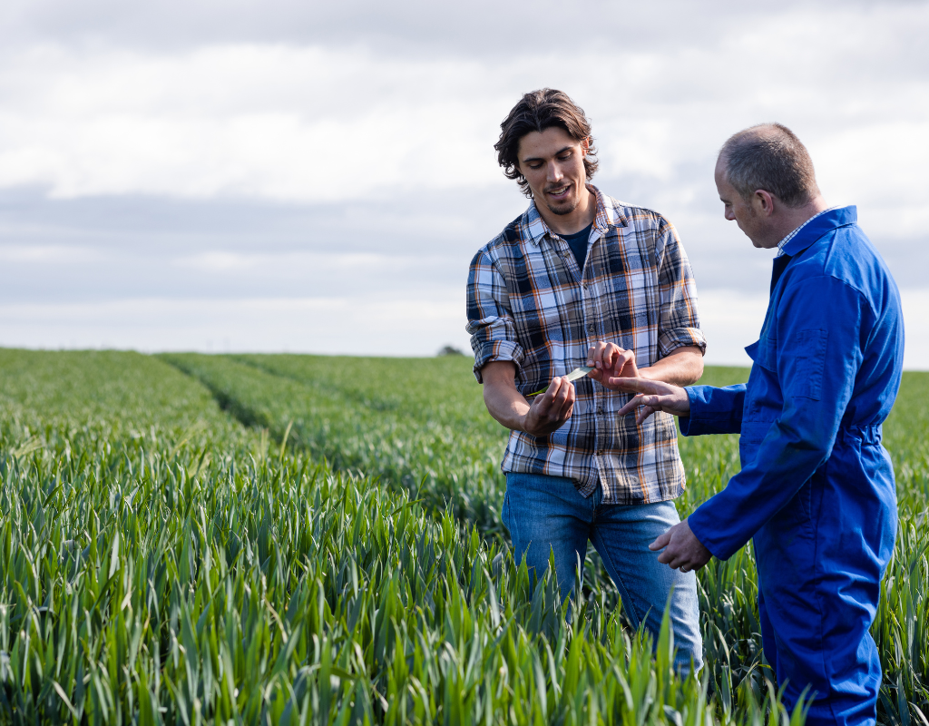 Building Long-Term Success: The Art of Buyer-Supplier Relationships in Agricultural Trade